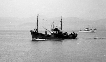 De Génova al Cantábrico: por qué Santoña es la capital mundial de la anchoa