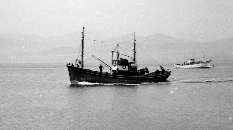 De Génova al Cantábrico: por qué Santoña es la capital mundial de la anchoa